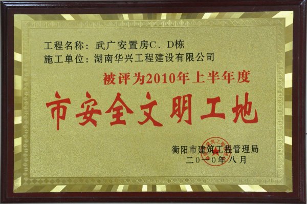 2010����а�ȫ��������-��V���÷�c-d��